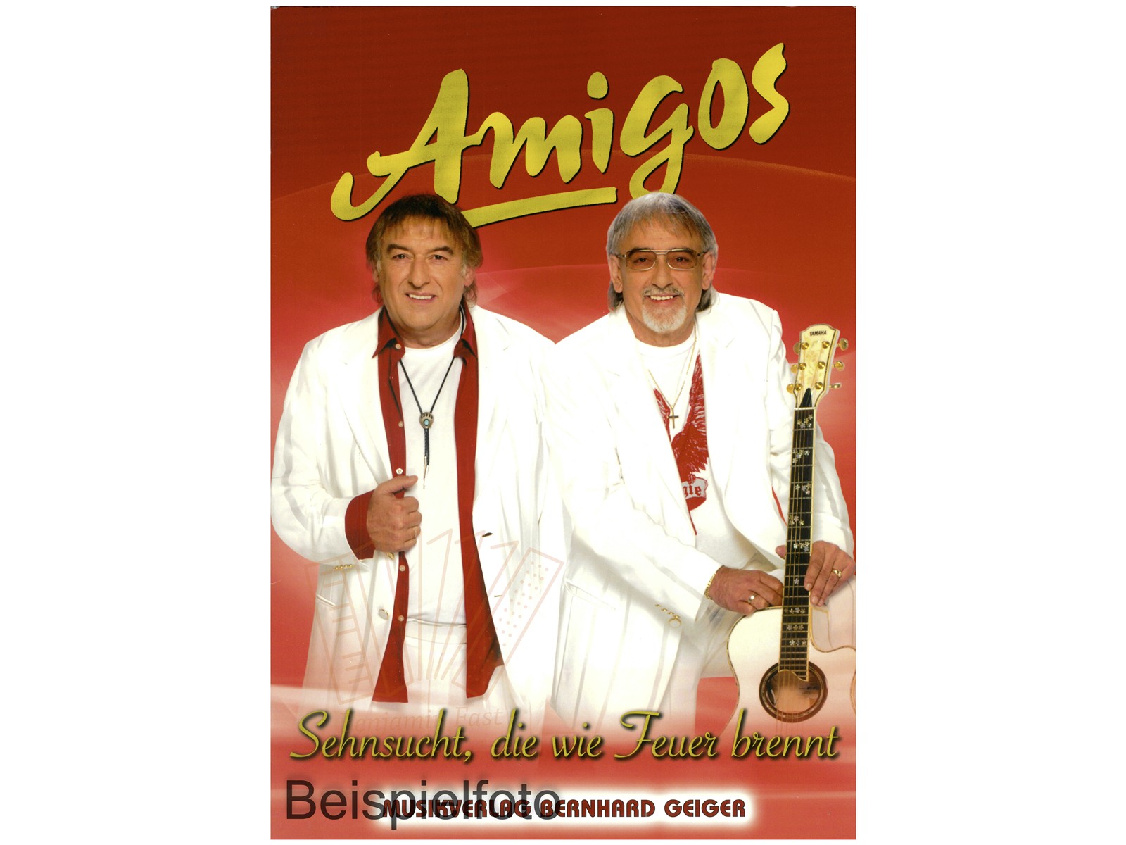 Sehnsucht, die wie Feuer brennt - Antiquariat