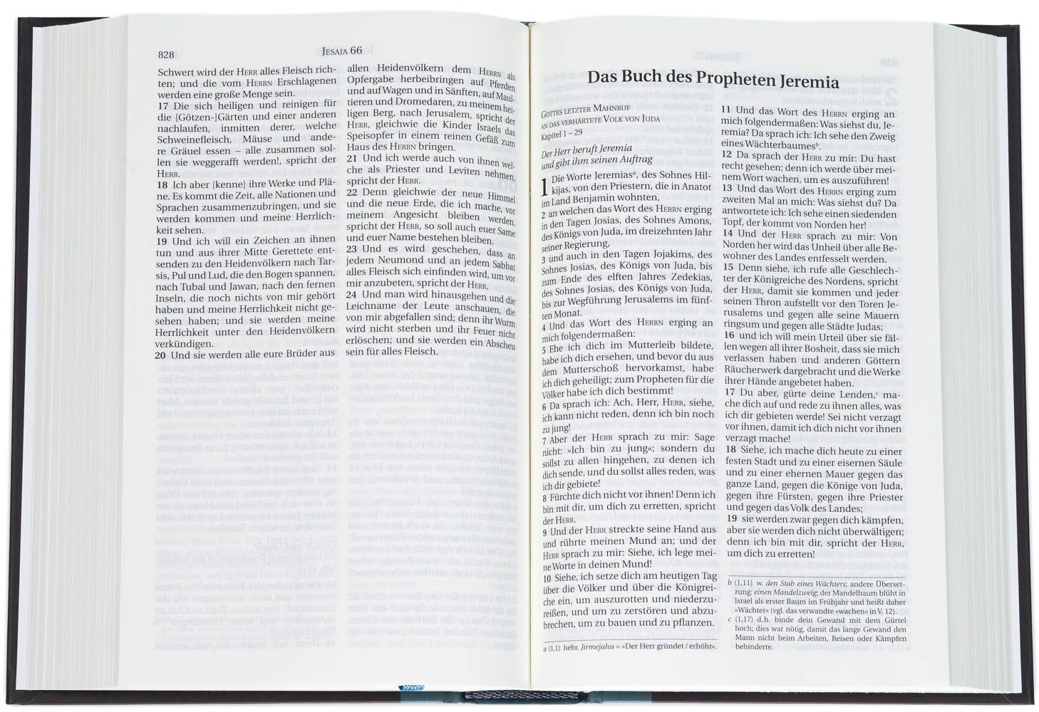 Schlachter 2000 – TA o. P (Hardcover, klassischer Einband)