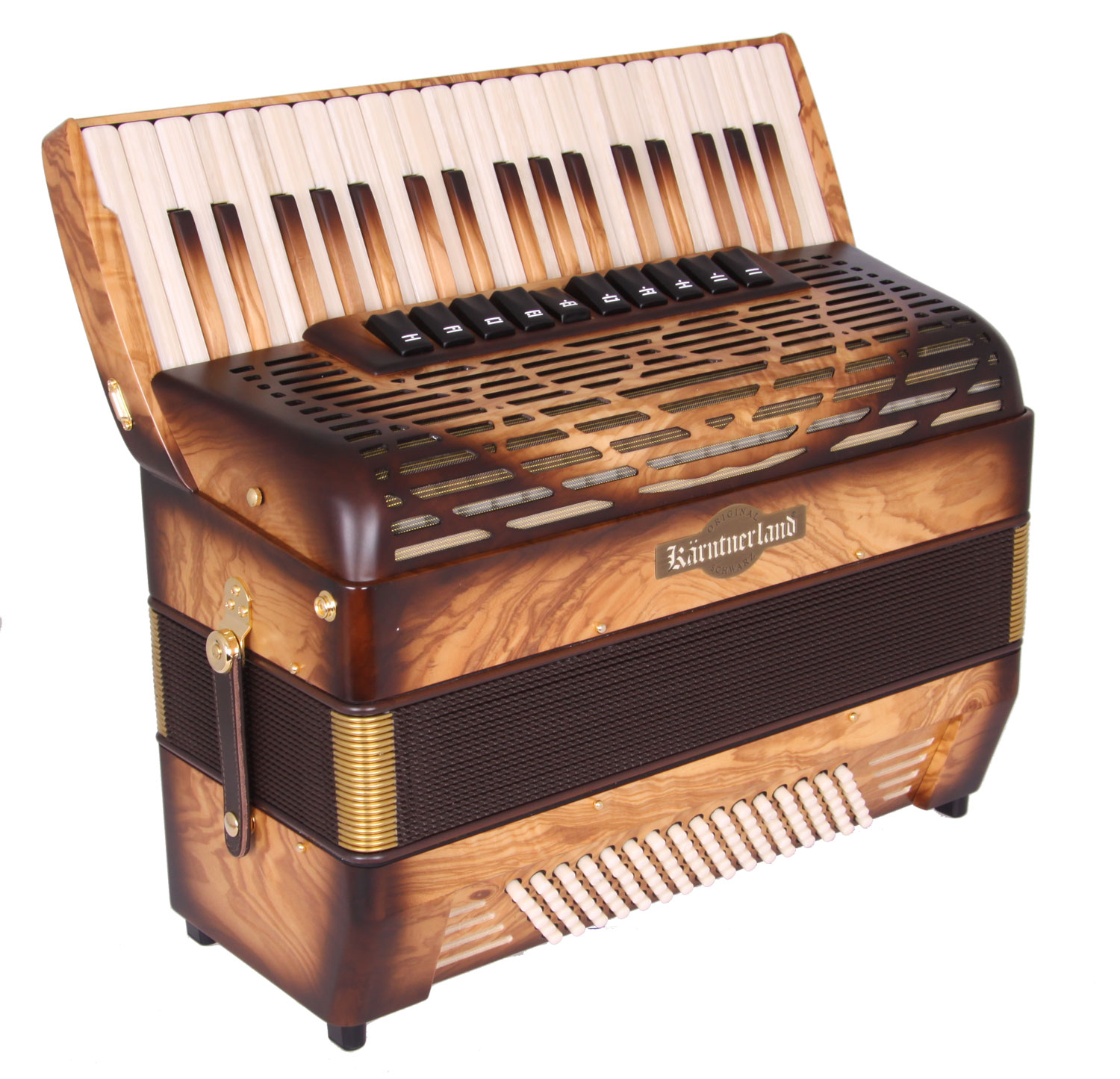 Akkordeon Kärntnerland Bergfeuer 96 Bass Cassotto Helikon