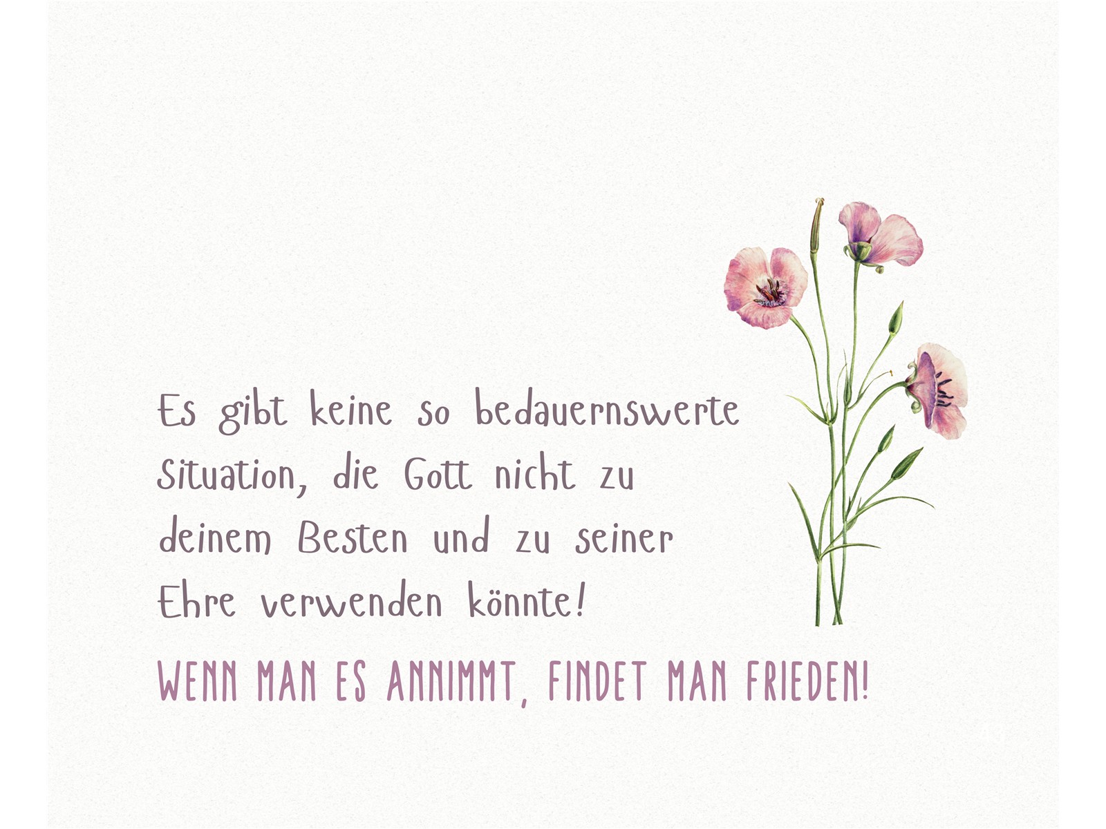 Mutig, mutiger, Mutter - Aufstellbuch (ab 01.05.25: €12,95) Mutig, mutiger, Mutter - Aufstellbuch (ab 01.05.25: €12,95)