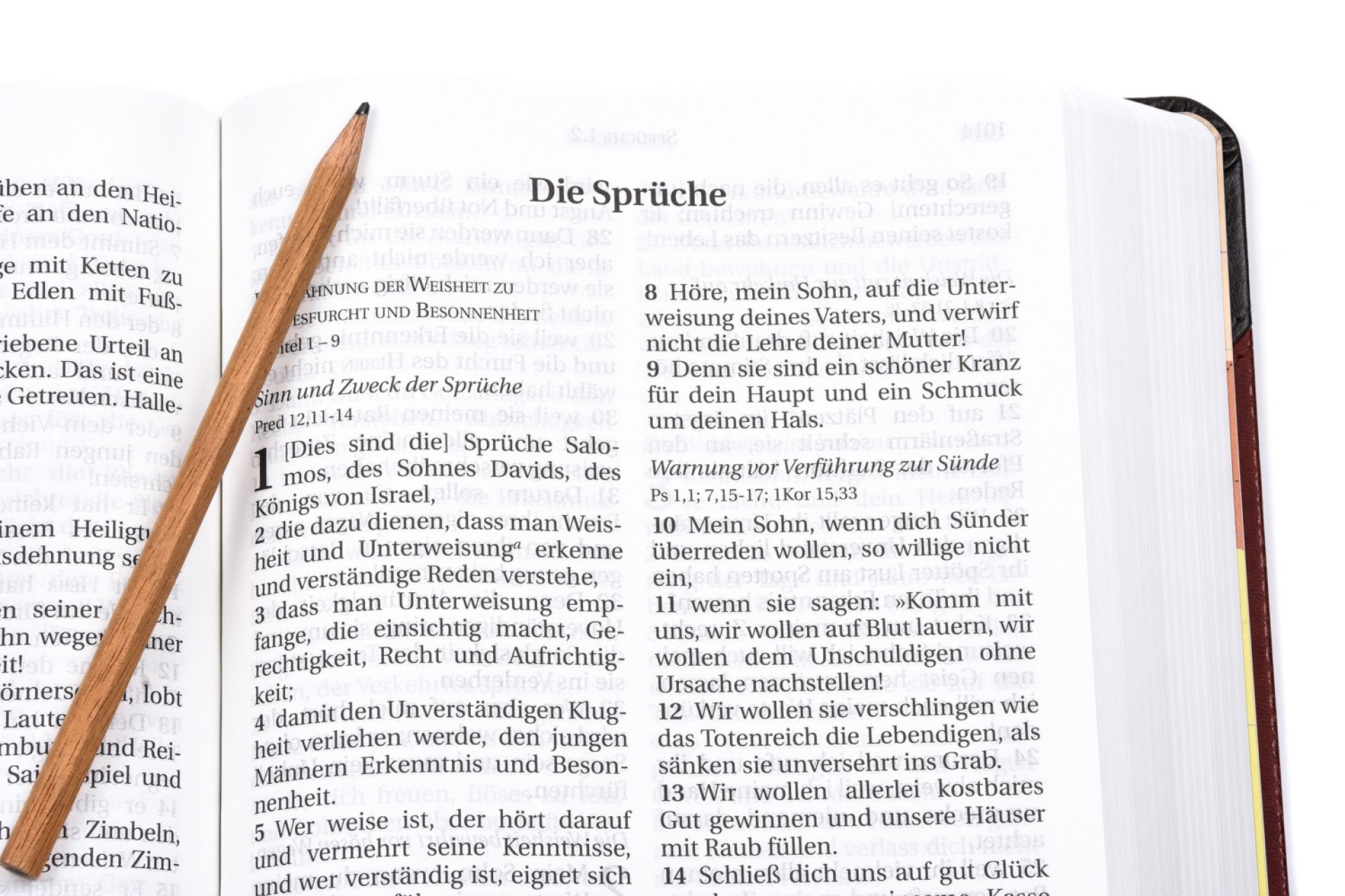 Schlachter 2000 - Großdruckausgabe (Softcover, grau/braun)