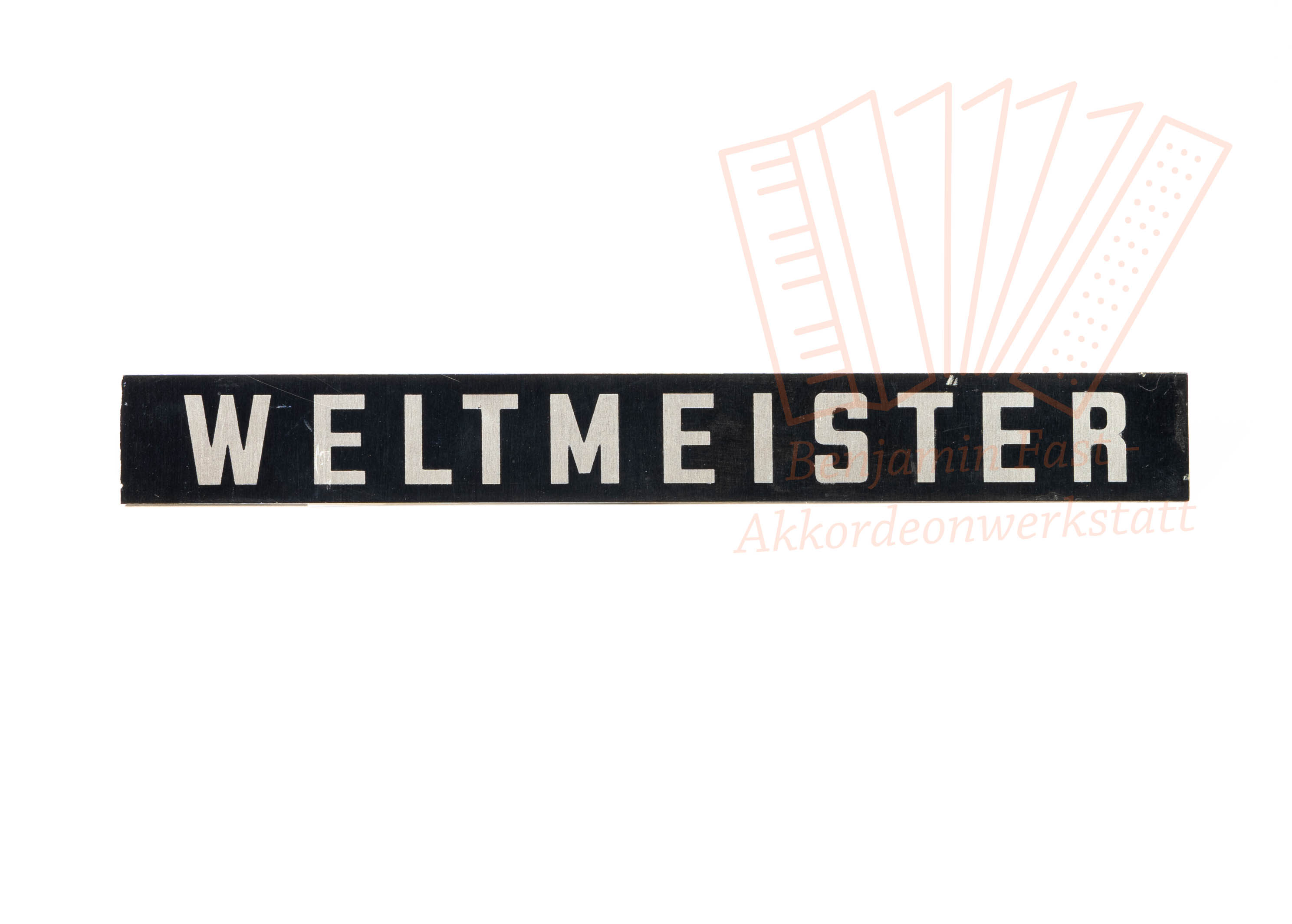 Schriftzug "Weltmeister" gebraucht