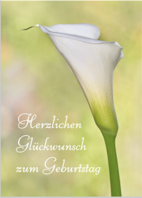 Postkarte - Calla-Blüte - "Herzlichen Glückwunsch zum Geburtstag"
